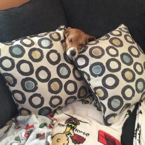 Meet your Posher, Deborah